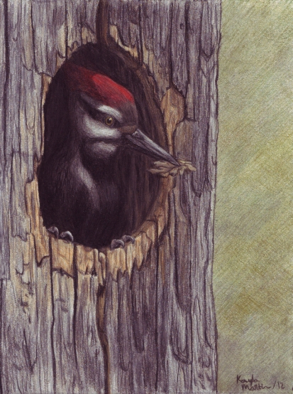 Preparing the Nest - Kayla Martin
