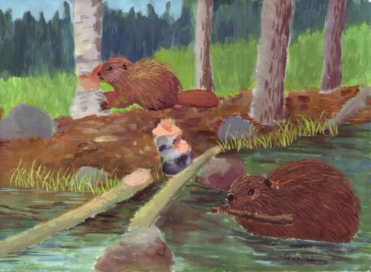 Just Woods to Build Their Home - Grace Wu
