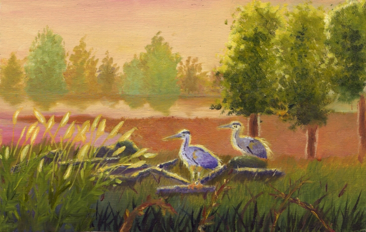Herons in the Sunset - Frank Yi
