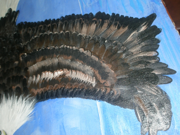 eagle wing