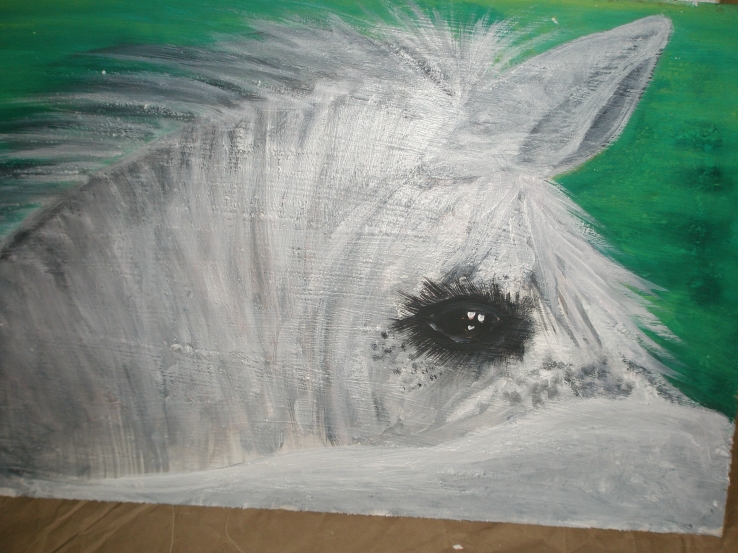 horse