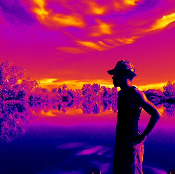 Pink Kakadu