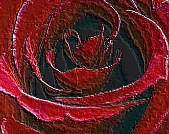 Rose?