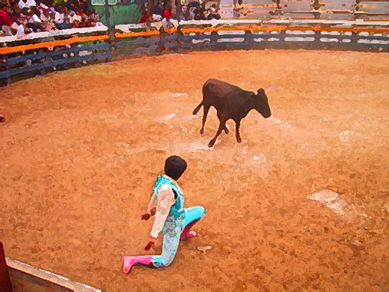 Vaqueria-The FEsten Brave!