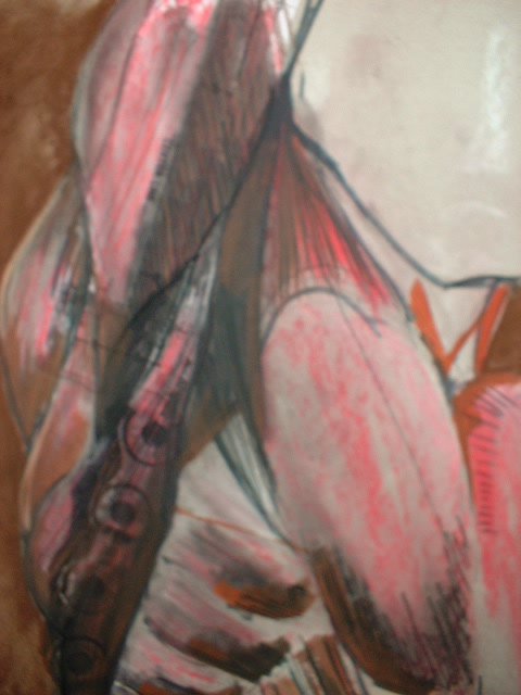Study