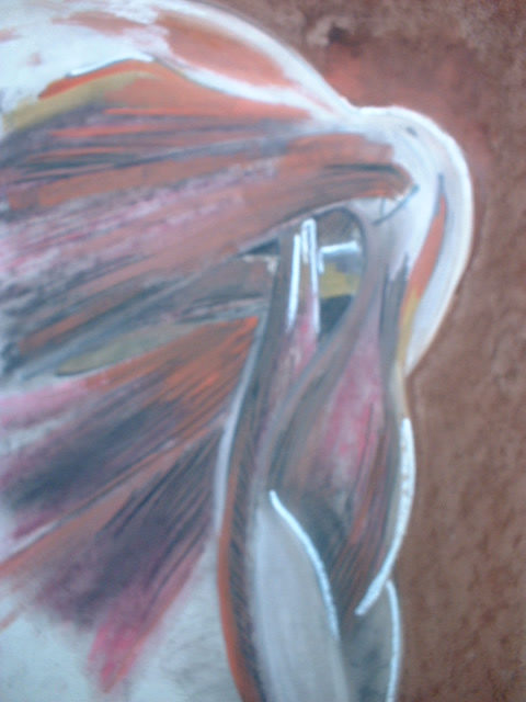 Study 2