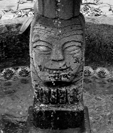 Stone Head