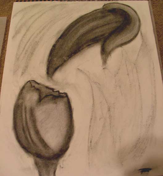 Untitled1