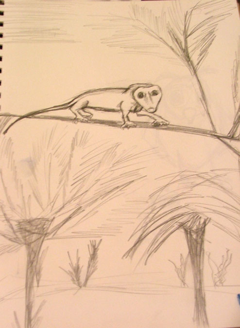 Wildlife