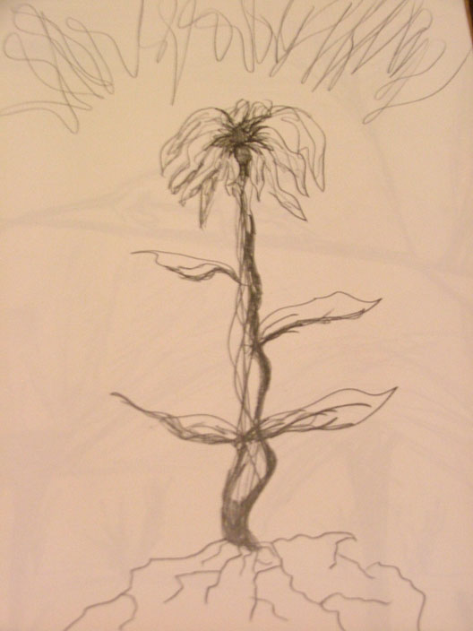 Growth