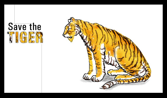 Save the Tiger