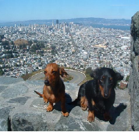Twin Peaks