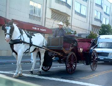 Horse and Buggy