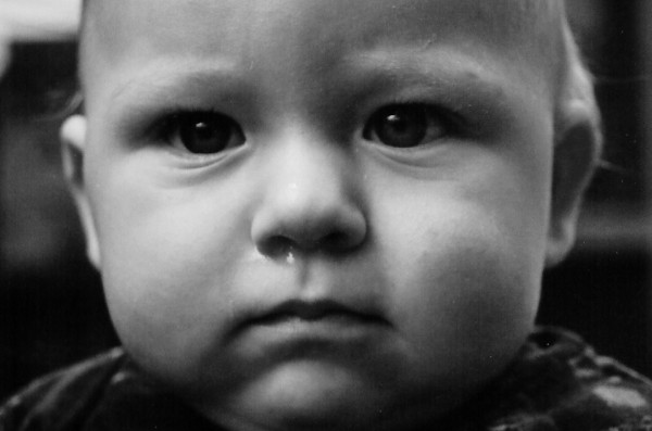 Cubby Cheeks