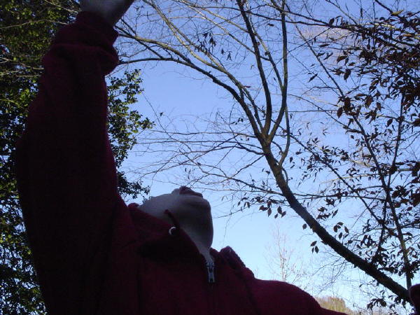 ahhh...fresh air