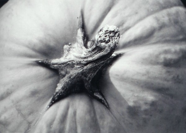 Pumpkin Top