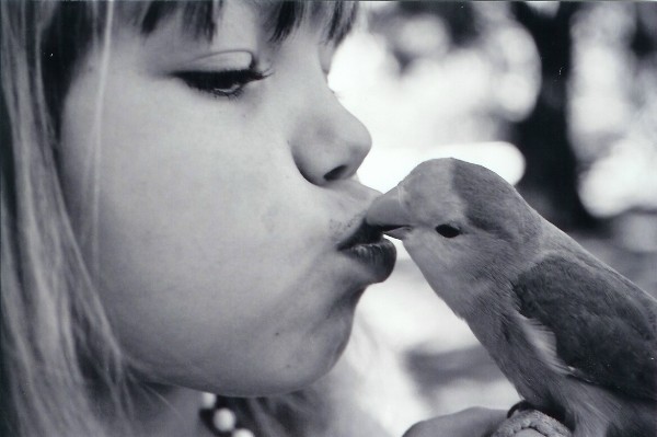 A Bird Kiss