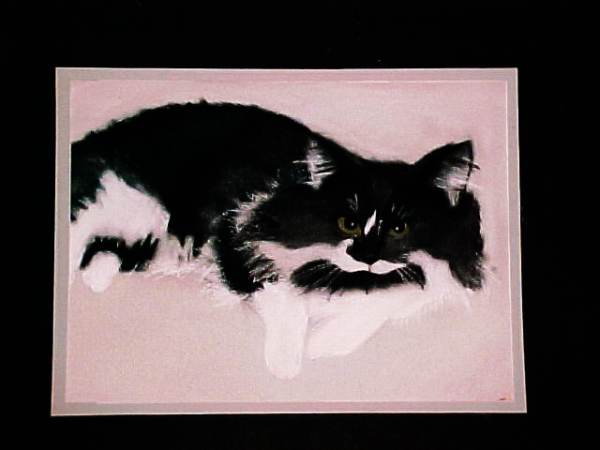 untitled(study.cat)