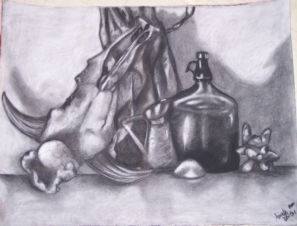 Charcoal Still-life