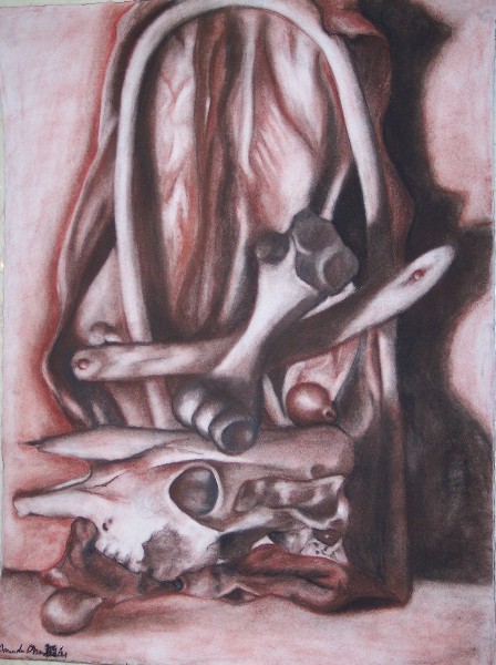 Sepia Tone Drawing