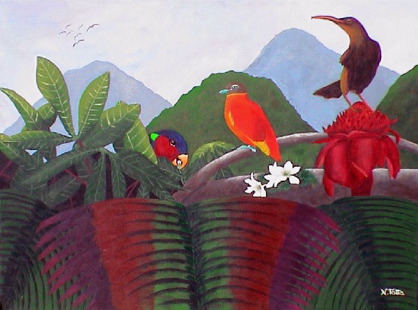 Tropical birds