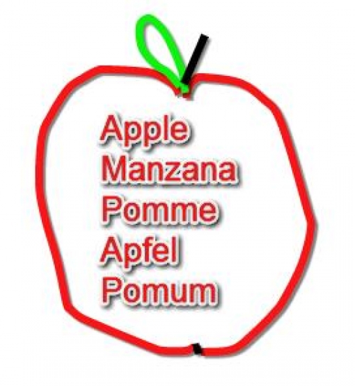 Apple a Day