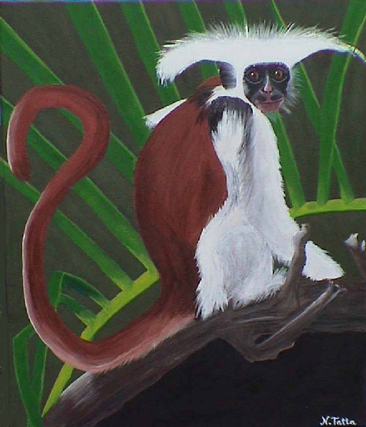 Monkey