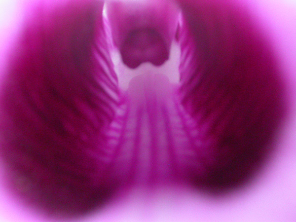 Inside