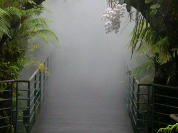 Mist
