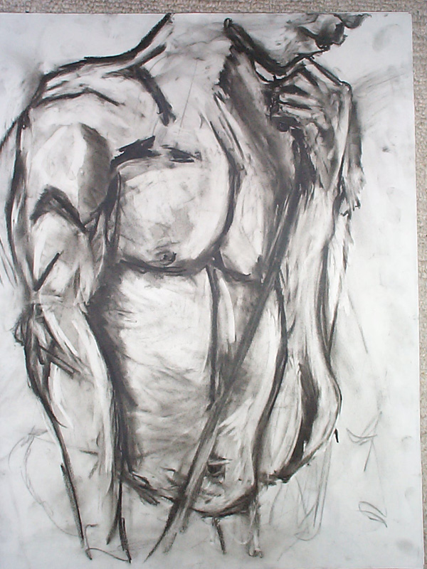 Male Torso