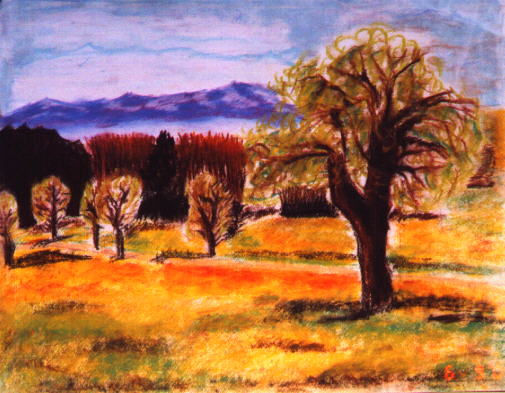 Countryside