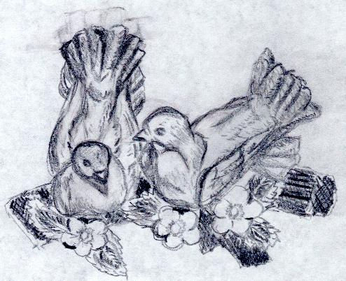 Doves