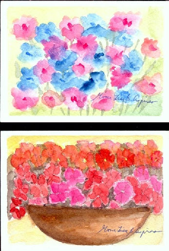 Forget-me-nots and Geraniums (postcards)