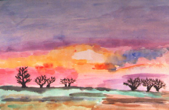 Multicolor Sunset