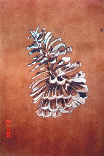 Pinecone