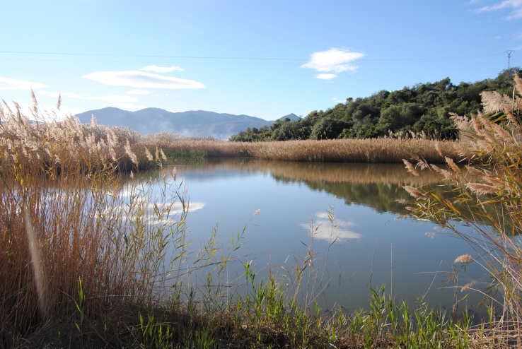 Protect our Marsh