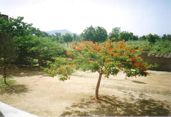 nature and resources