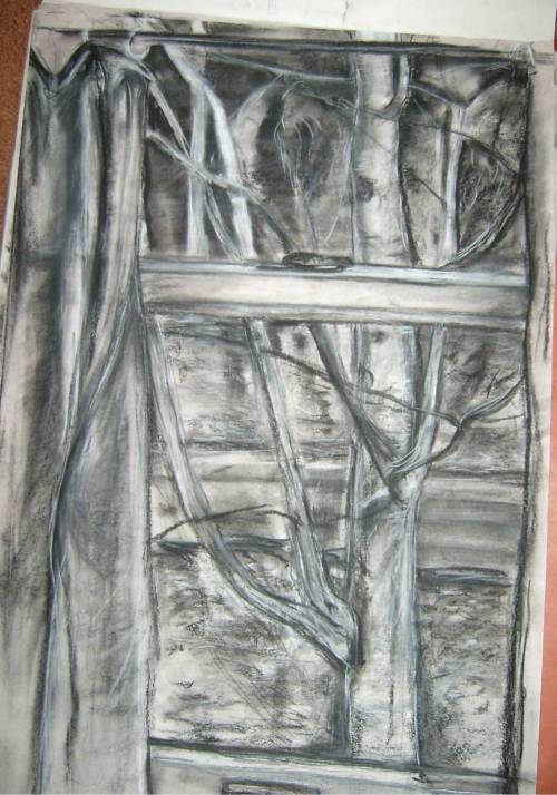 birch outside bathroom window