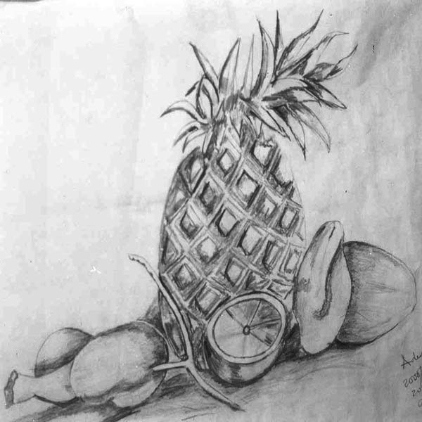Fruit
