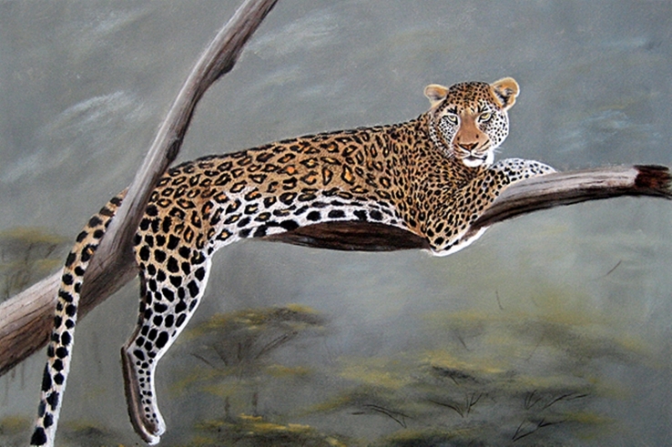 Leopard relaxing on a branch