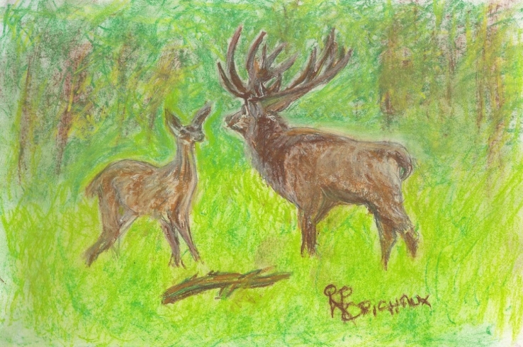 Deer in Love