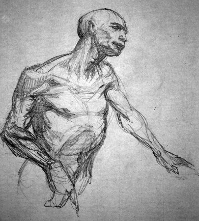 ANATOMICAL STUDY