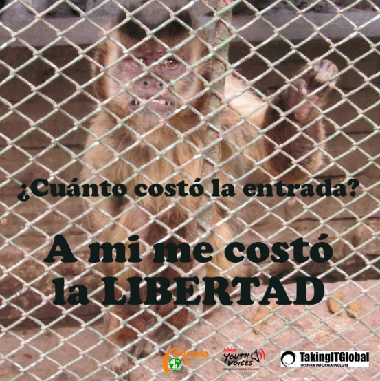 Close the zoo