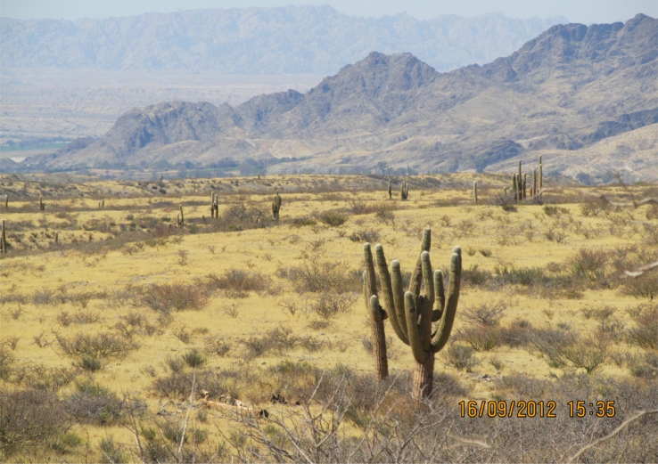 Salta our Province 8