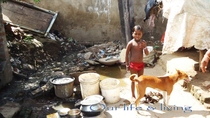Our life and living