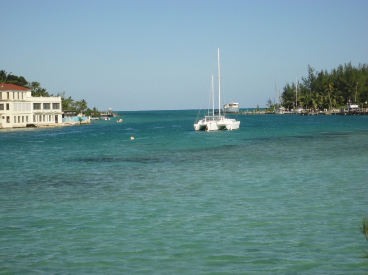 Androssea
