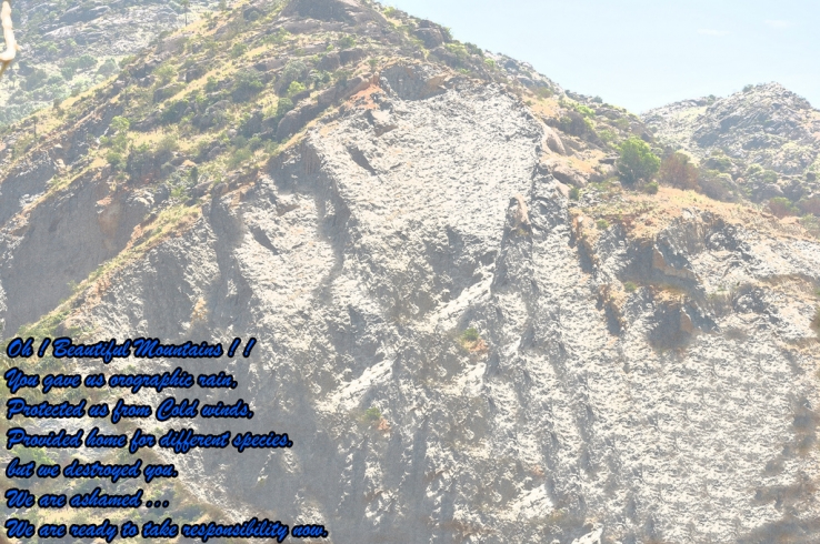 Our mountains