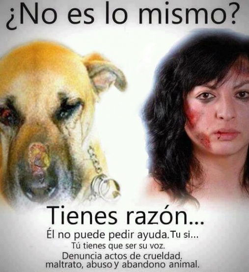 Animal abuse