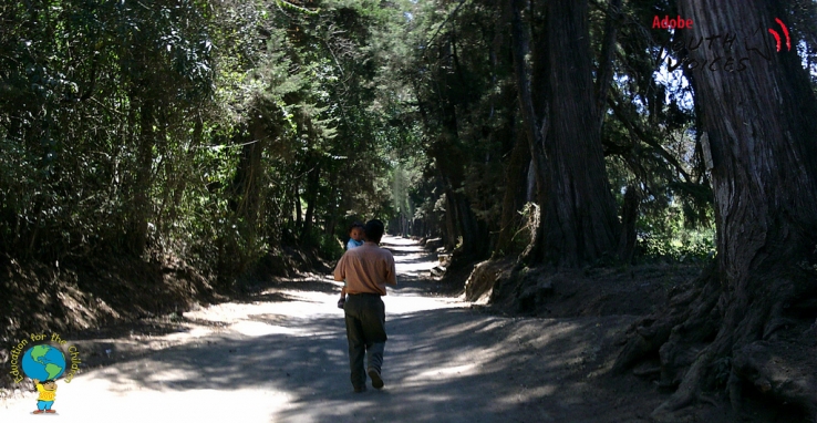 A long way to walk