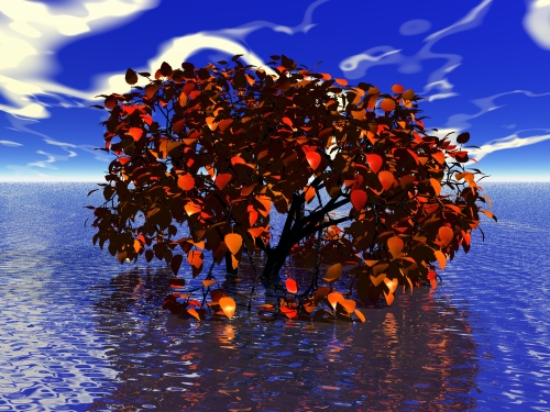 The Tree of Time